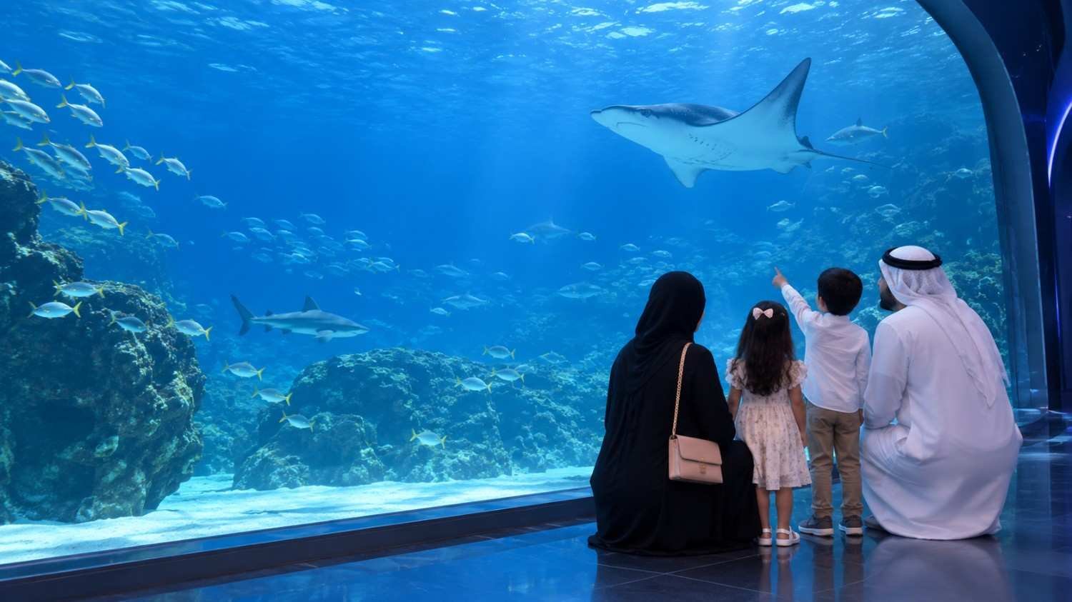 Family enjoying a visit to the National Aquarium Abu Dhabi, watching sharks, rays, and colorful marine life through a massive underwater viewing window in a modern indoor aquarium.