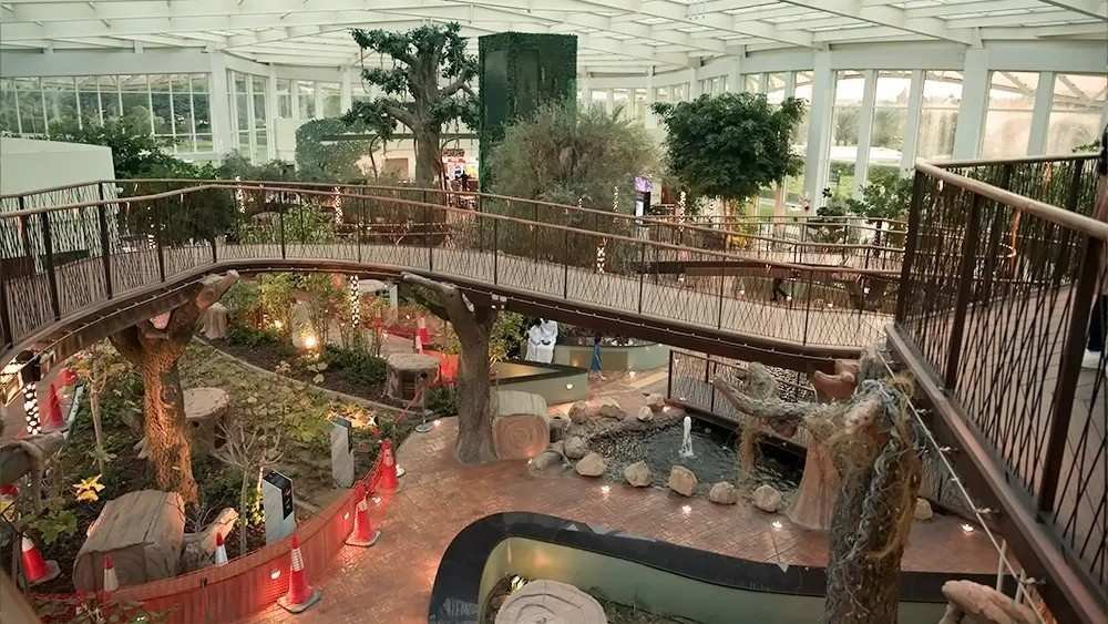 Interior of the Glass House at Quranic Park Dubai featuring elevated walkways, lush greenery, Quranic plants, decorative trees, a small water feature, and climate controlled botanical displays.