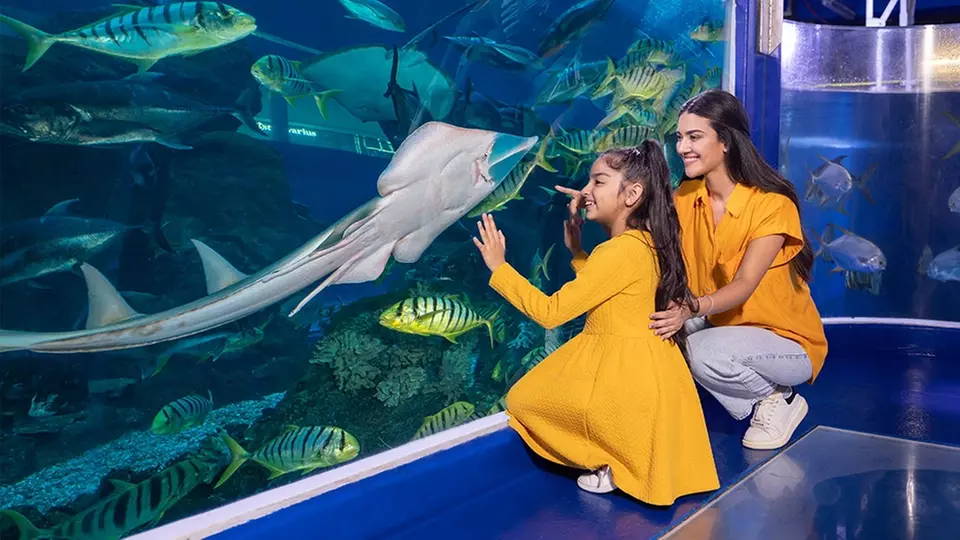 Mother and daughter watching a stingray and colourful Gulf fish through a large viewing tank at Sharjah Aquarium.