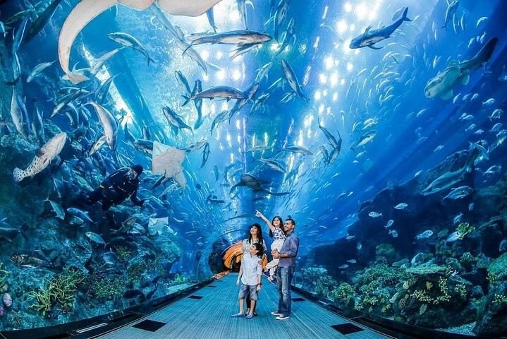 family enjoying at Dubai Mall Aquarium