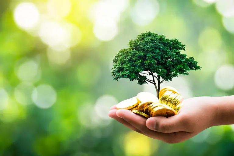 UAE Ranks First in the Arab World in the 2026 Environmental Performance Index