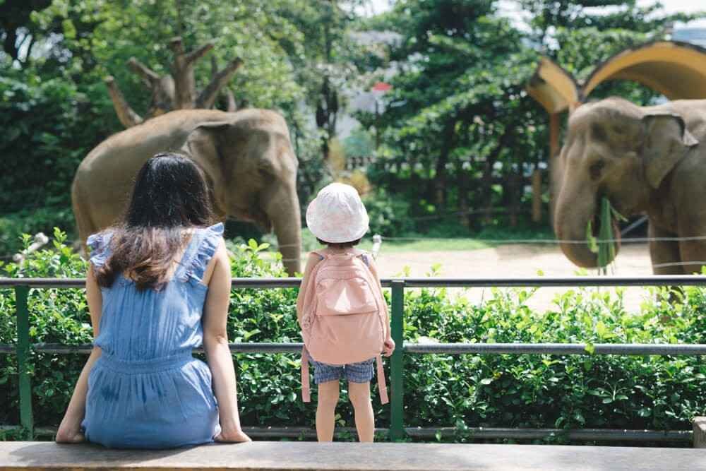Umm Al Quwain Zoo (Wildlife)