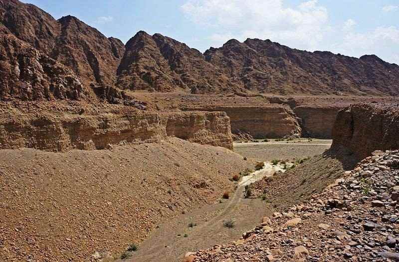 Wadi Wurayah is now a UNESCO World Heritage Site